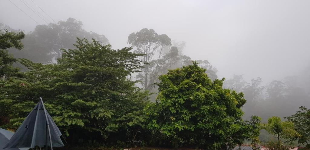 The Grand Bandarawela Hotel Eksteriør billede